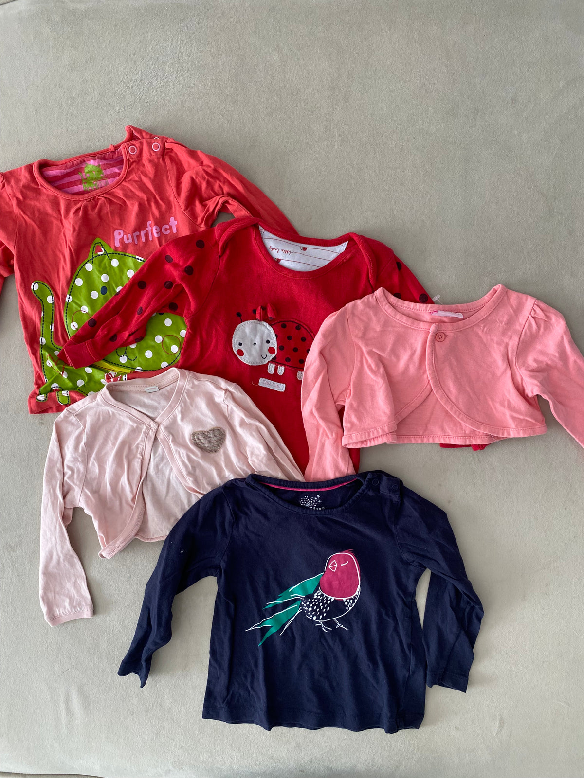 Lot 5 vêtements fille 12-18 mois